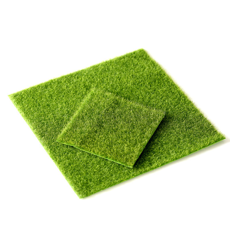 Home Moss Turf Lawn