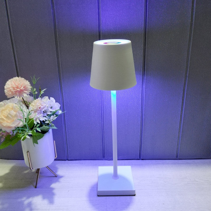 Home Desktop Lamp